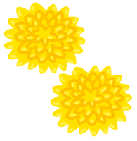Edible chrysanthemum-Tsumagiku
