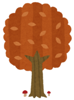 秋の木