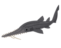 锯鲨