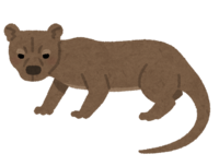 Fossa