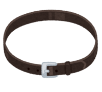 Leather belt