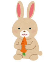 Light brown rabbit