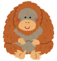 Orangutan