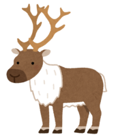 Reindeer