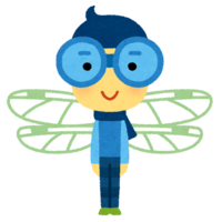 Dragonfly character (insect)