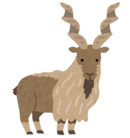 Markhor