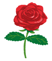 Rose (one rose with a stem)