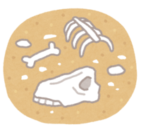 砂漠の骨