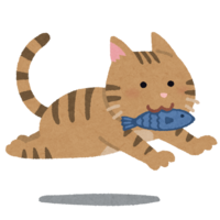 Cat running with a fish