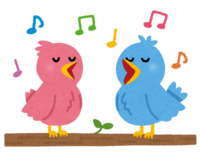 歌う鳥のカップル