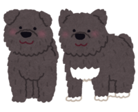 樺太犬(タロとジロ)