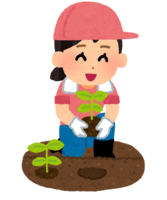 Girl planting seedlings