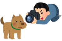 A person who takes a picture of a dog