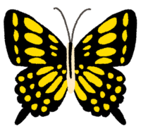 Swallowtail butterfly (butterfly)