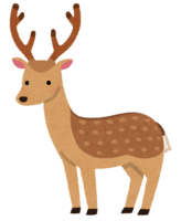 日本鹿(有角)