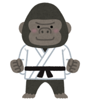 Gorilla judoka