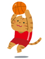 バスケットボールをする猫