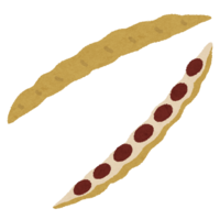 Azuki beans in a pod