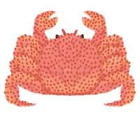 Hair crab
