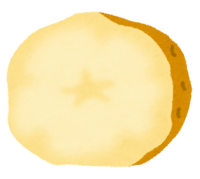 Cross section of potato