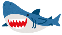 鲨鱼(鱼)