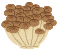 Shimeji (mushroom)
