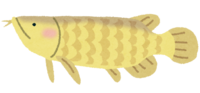 アロワナ(魚)
