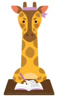 Animal studying (giraffe)