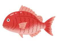 Thailand-red sea bream