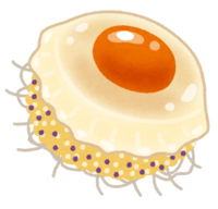 Fried egg jellyfish