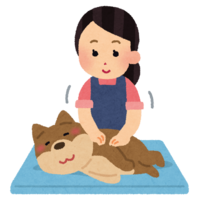 Pet massage