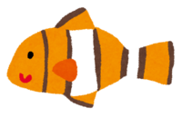 熱帯魚(クマノミ)