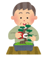 Uncle pruning bonsai
