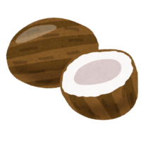 Coconut-Palm fruit