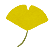 Autumn leaves (yellow ginkgo)