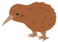 Kiwi (bird)