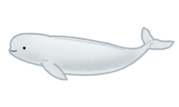 スナメリ(鯨)