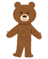 Bear costume
