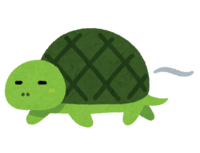 Slow-footed turtle