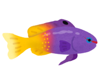 ロイヤルグラマのキャラクター(熱帯魚)