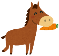 吃胡萝卜的马