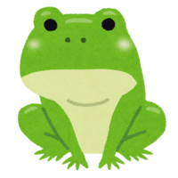 Adult frog (growing frog)