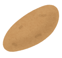 Elongated potato