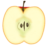 Cross section of apple