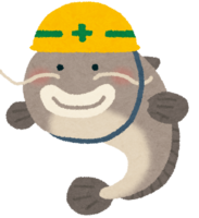 Catfish wearing a disaster prevention helmet