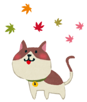 Autumn leaves (cat)