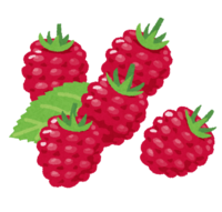 Raspberry (with shavings)
