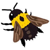 大黄蜂