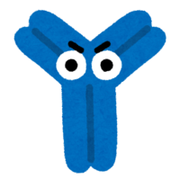 Antibody character
