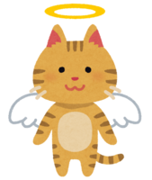 Cat who became an angel